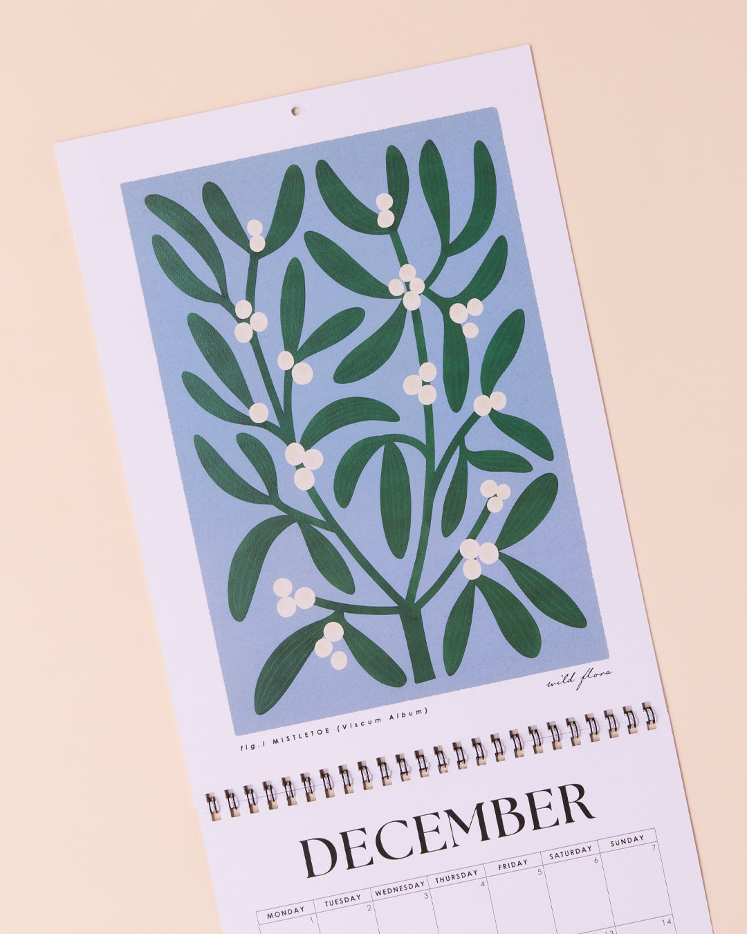 Bird & Co 2026 Wildflower Calendar