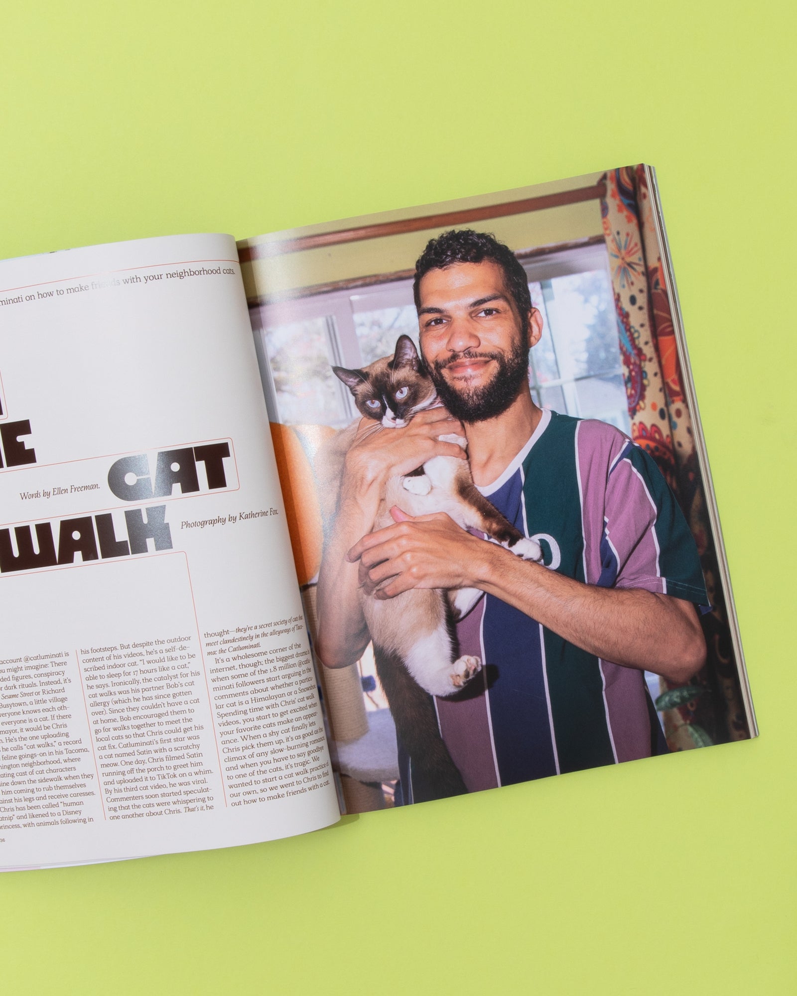 Catnip Magazine