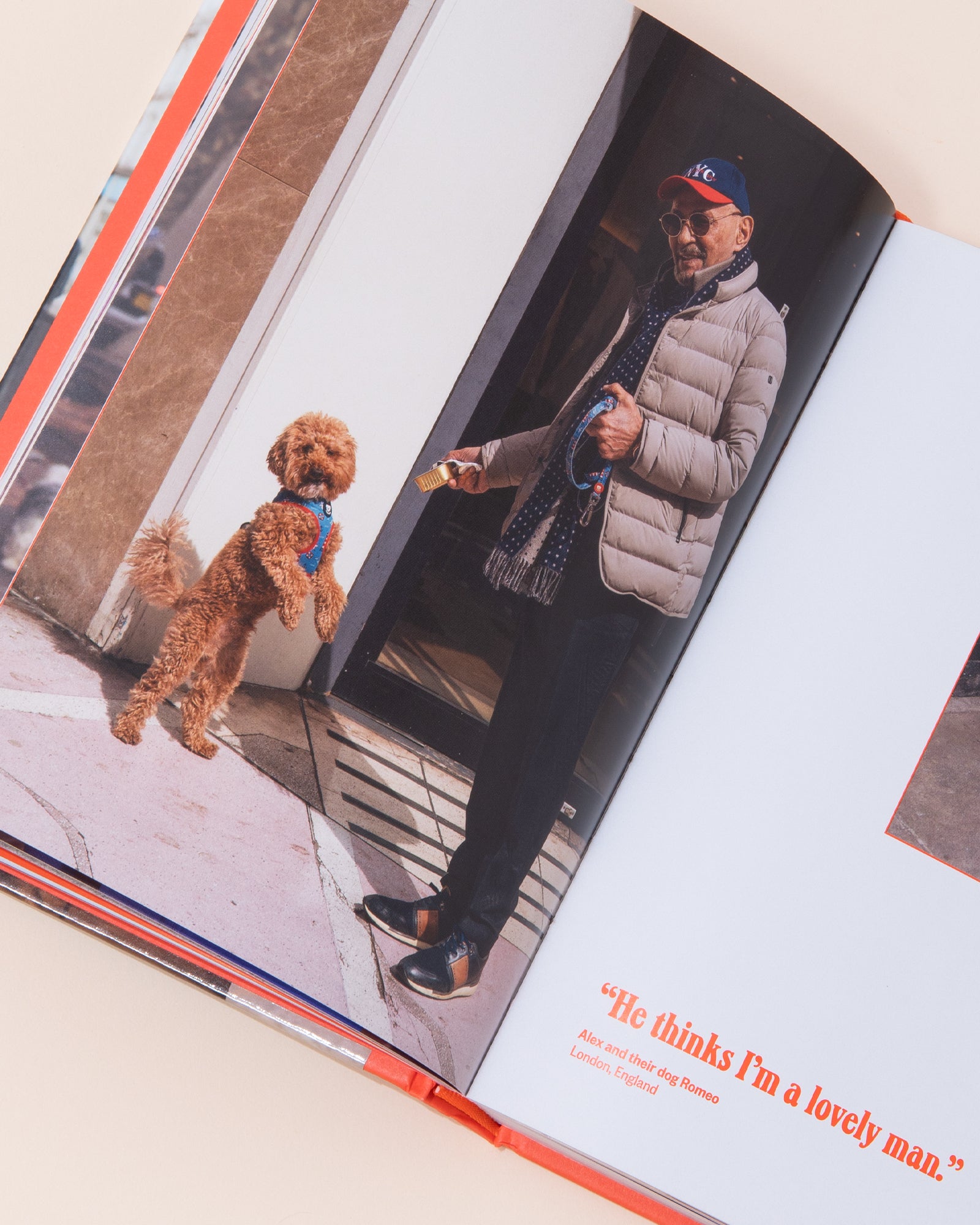 Dog's Best Friend Book