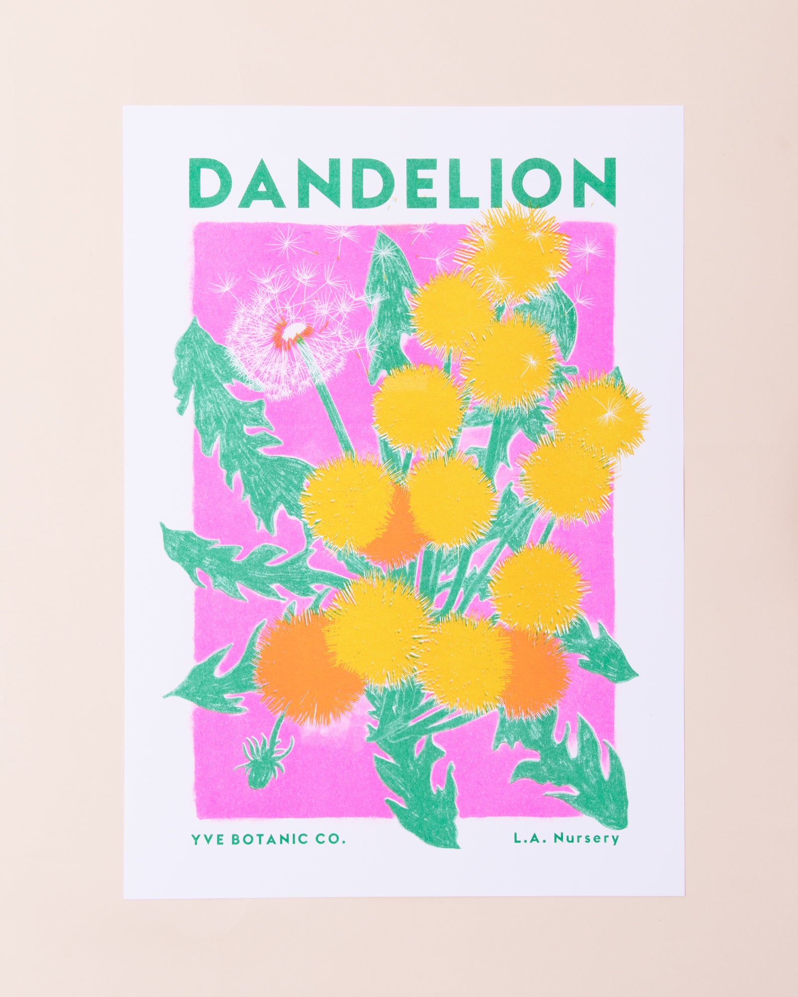 Eve Print Studio Dandelion Print
