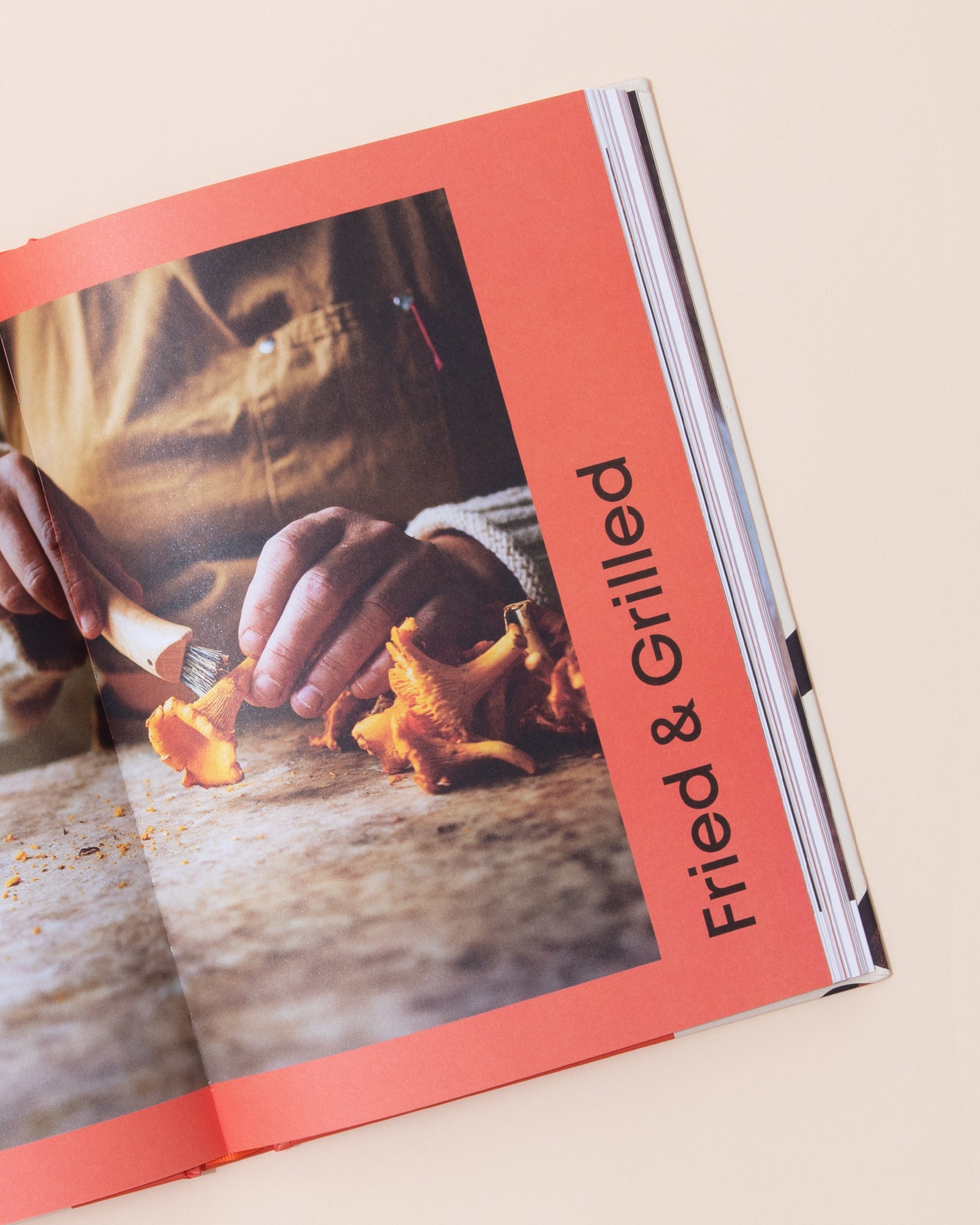 Mushroom Book