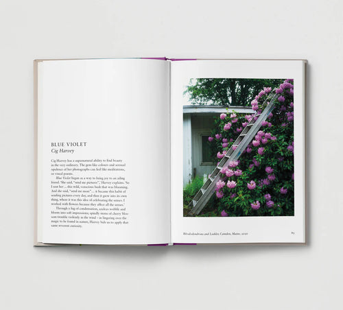 Hoxton Mini Press New Photography Of The Flower
