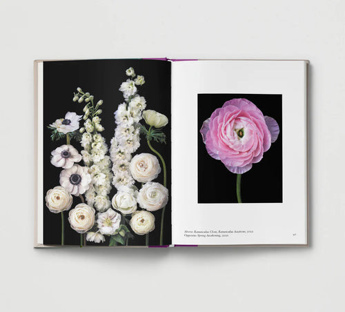 Hoxton Mini Press New Photography Of The Flower