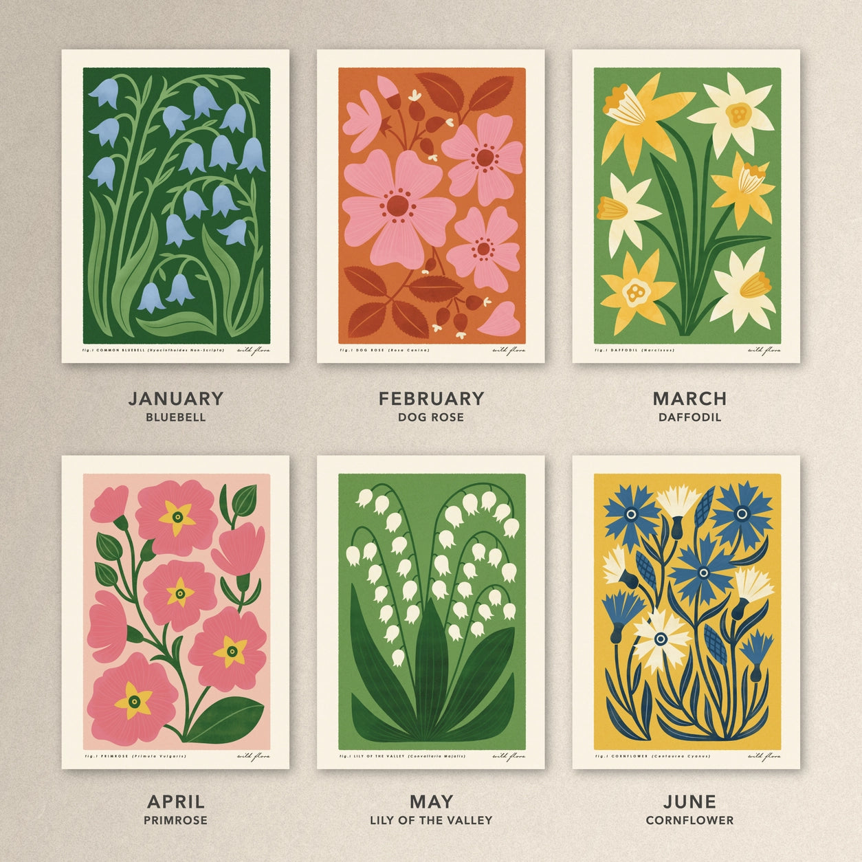 Bird & Co 2026 Wildflower Calendar