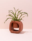 Burnt Ochre Kyu Plant Pot