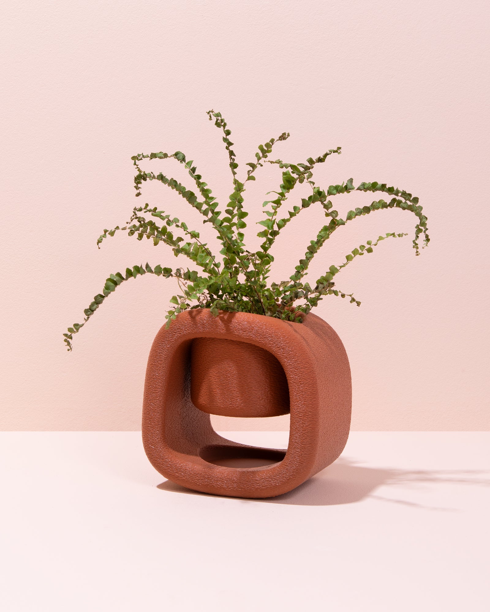 Burnt Ochre Kyu Plant Pot