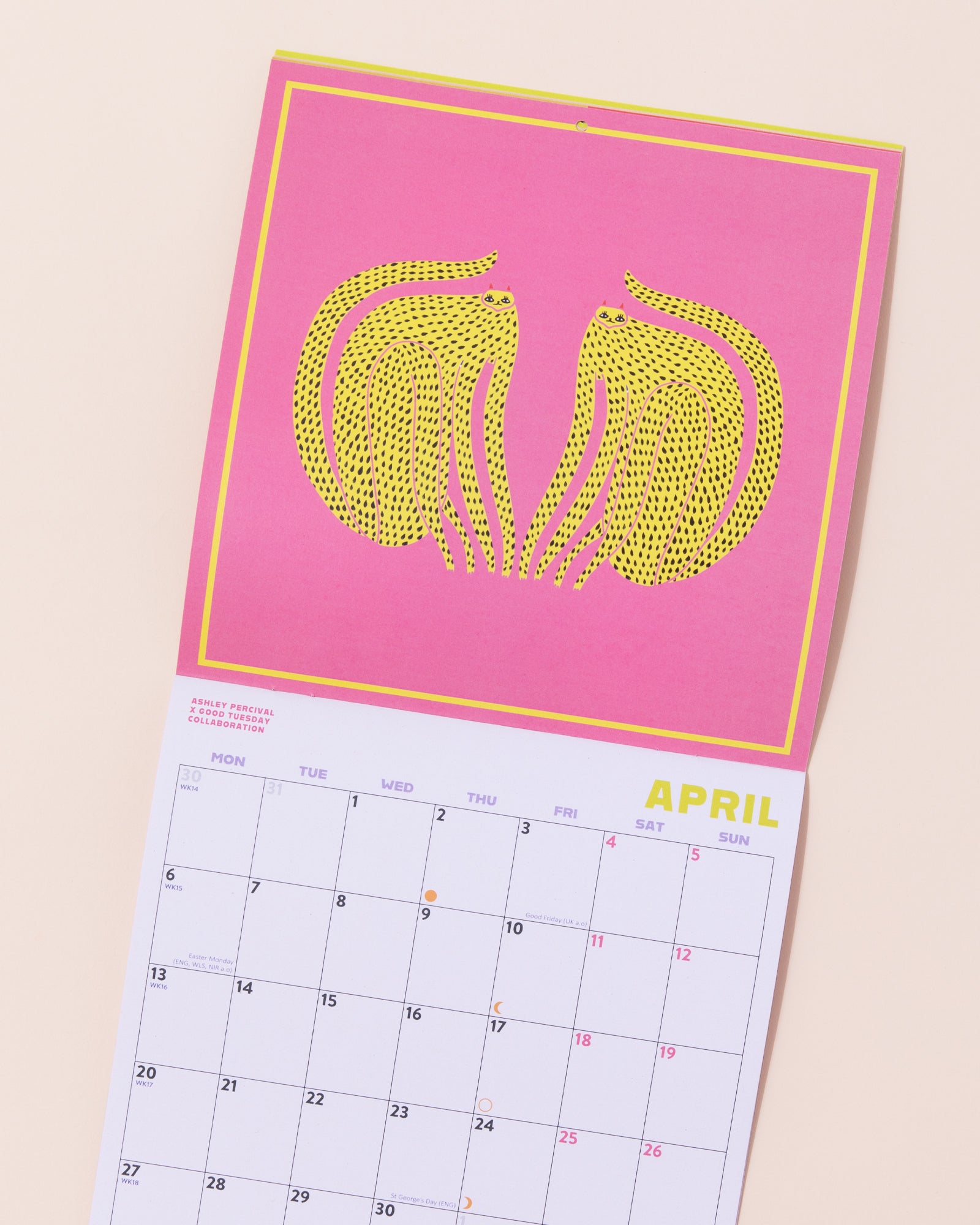 Ashley Percival 2026 Cats Calendar