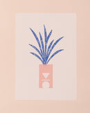 Clare Nicolson Spider Plant Print