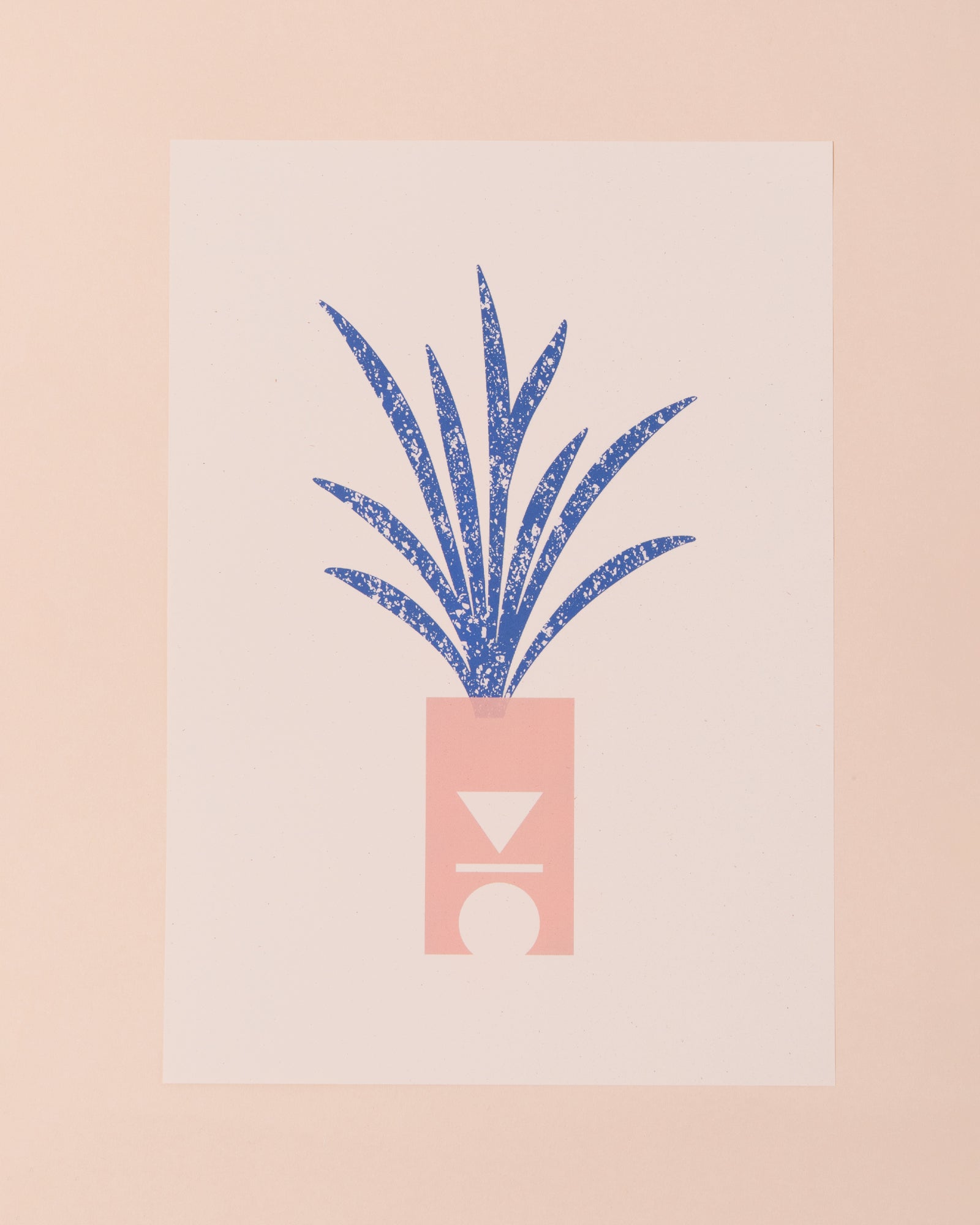 Clare Nicolson Spider Plant Print