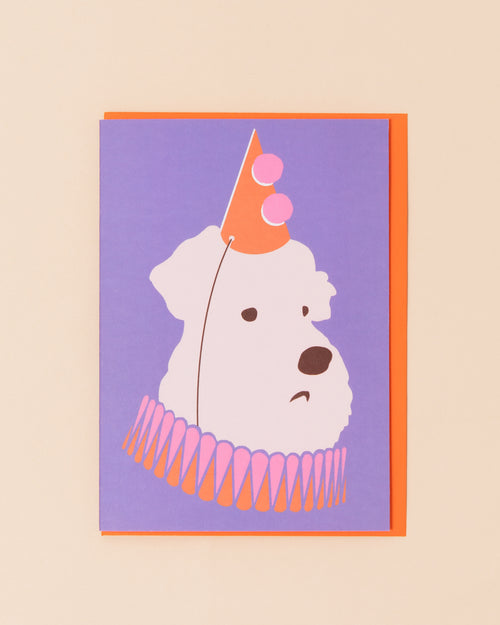 Party Dog Greetings Card