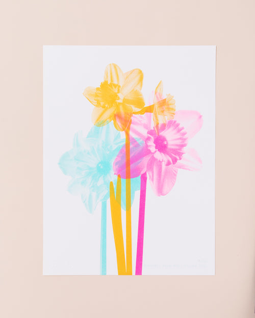 Eve Print Studio Daffodil Mono Fluoro Print