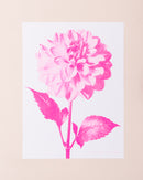 Eve Print Studio Dahlia Print