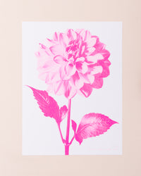 Eve Print Studio Dahlia Print