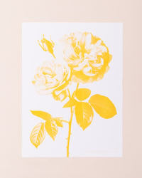 Eve Print Studio Rose Print