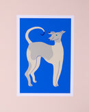 Art print of a whippet. Grey whippet on a blue background