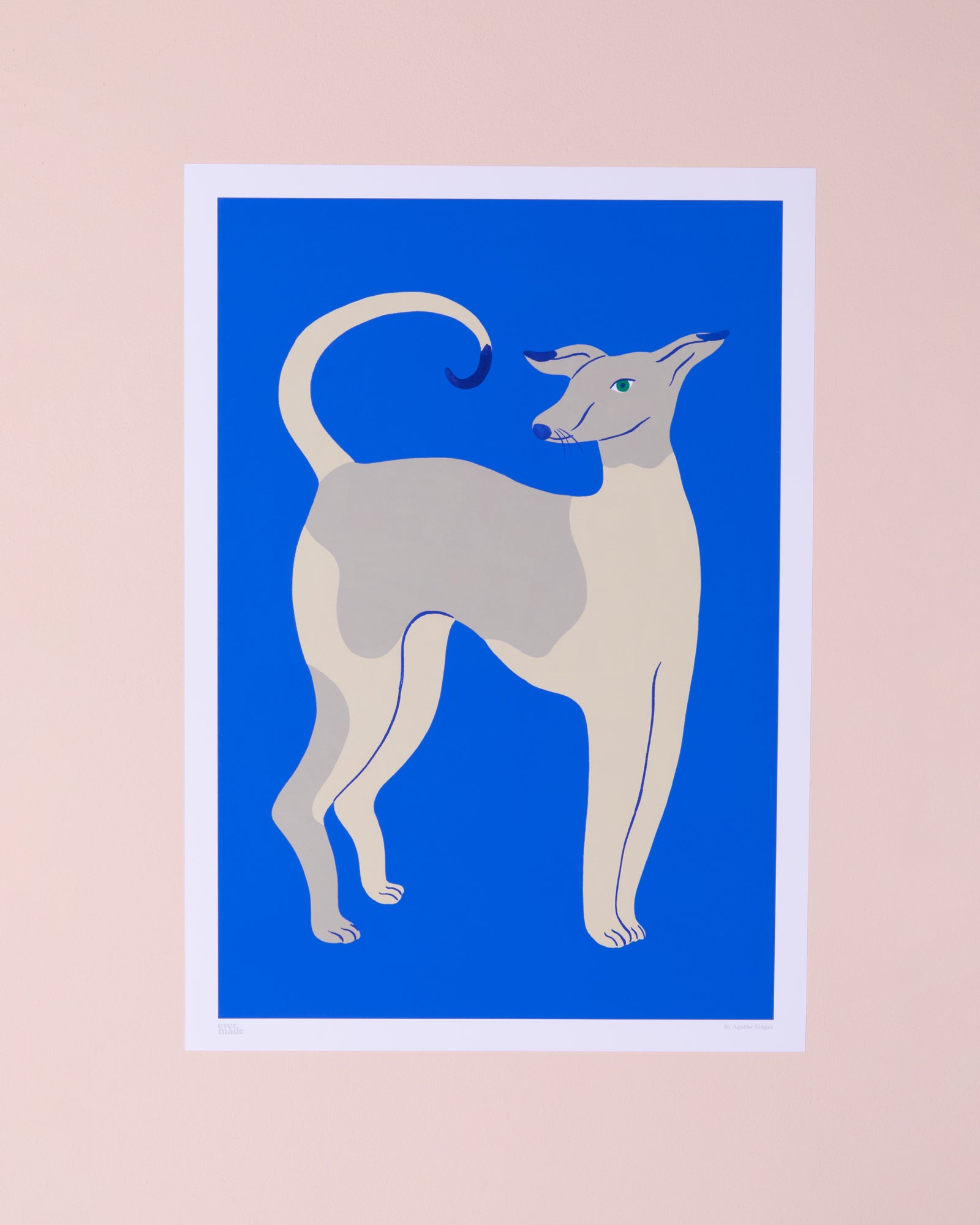 Whippet Print