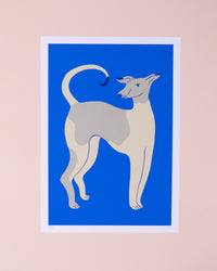 Art print of a whippet. Grey whippet on a blue background