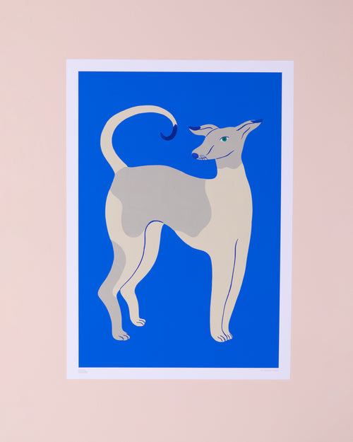 Art print of a whippet. Grey whippet on a blue background