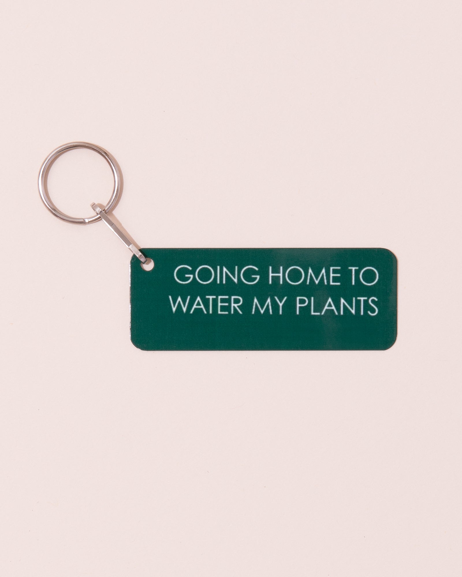 Metal keyring | Going Home To Water My Plants