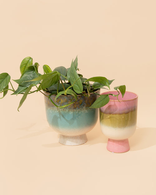 HKLIVING Retro Flower Pot | Lagoon