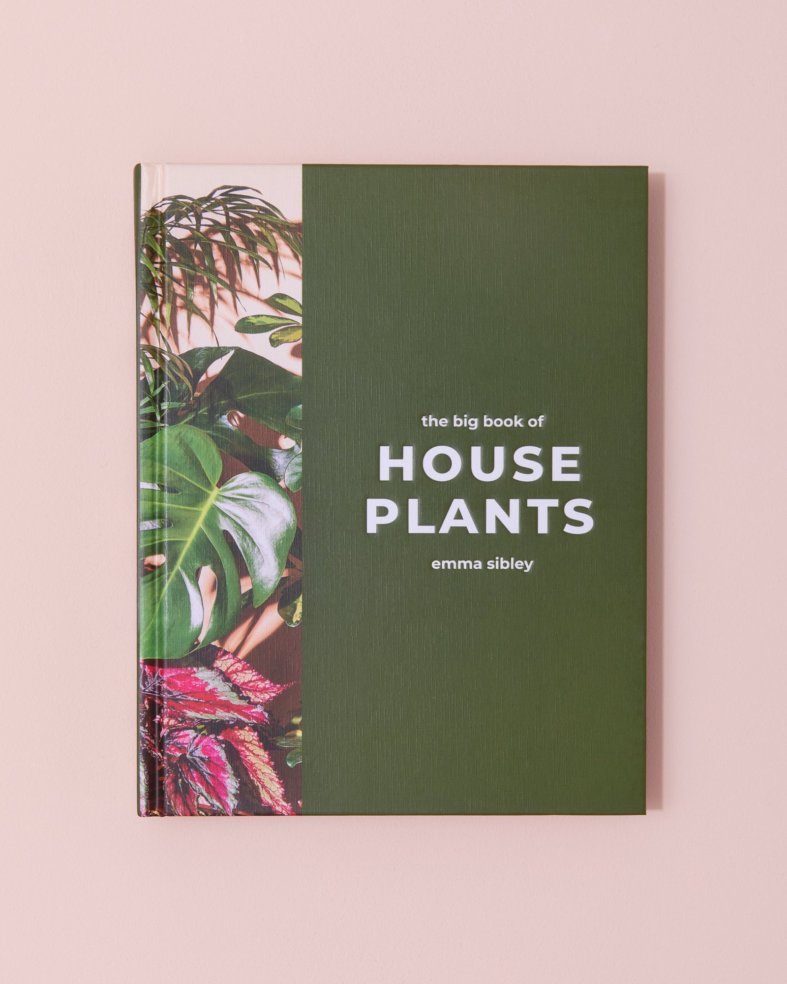 The Big Book Of Houseplants