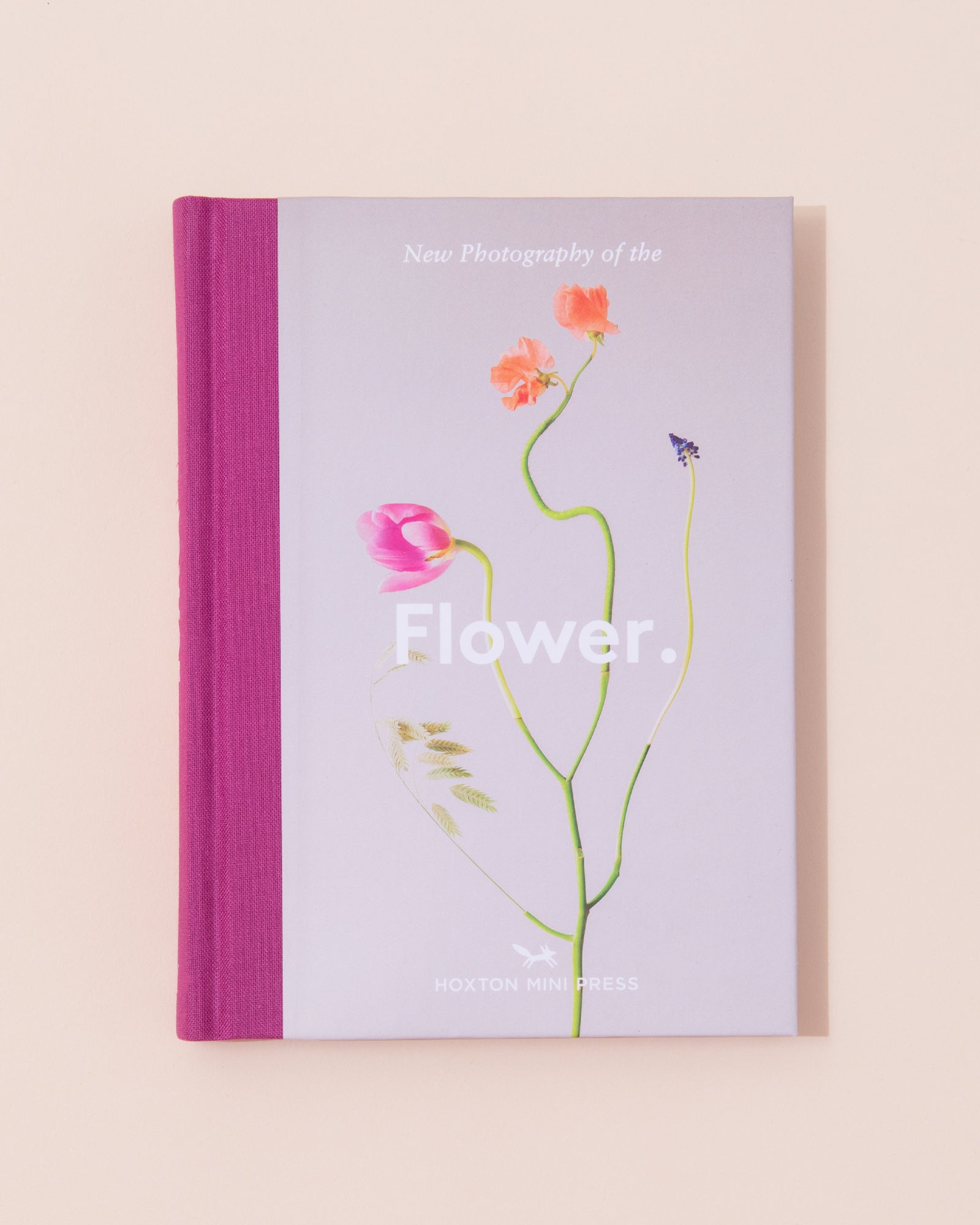 Hoxton Mini Press New Photography Of The Flower