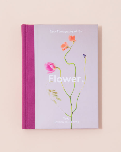 Hoxton Mini Press New Photography Of The Flower