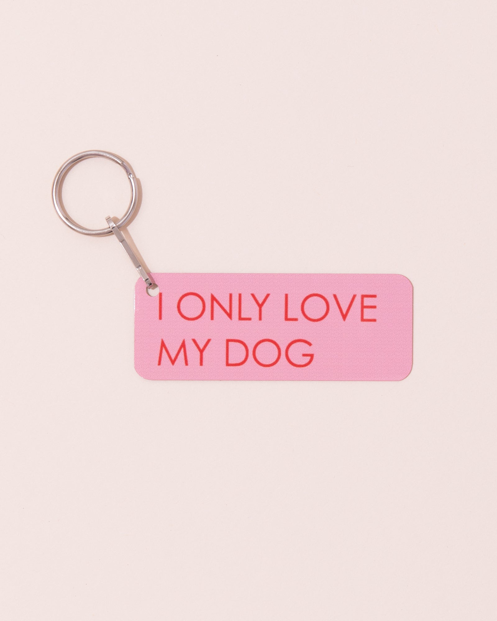 Metal keyring | I Only Love My Dog