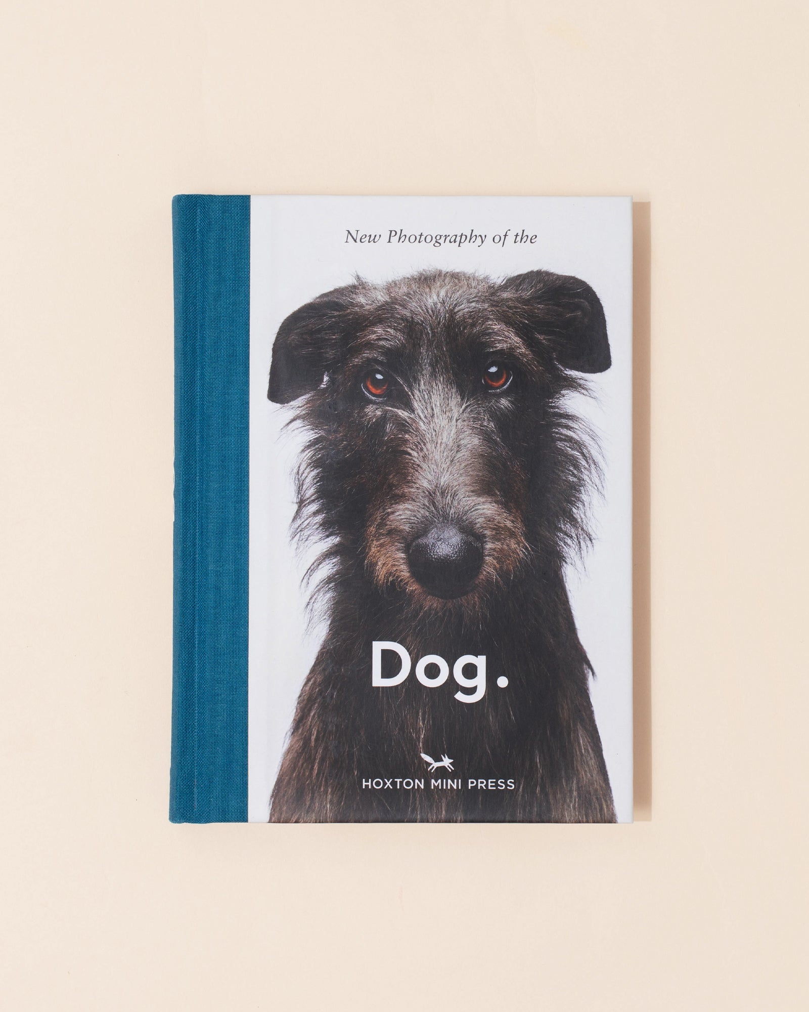 Hoxton Mini Press New Photography Of The Dog