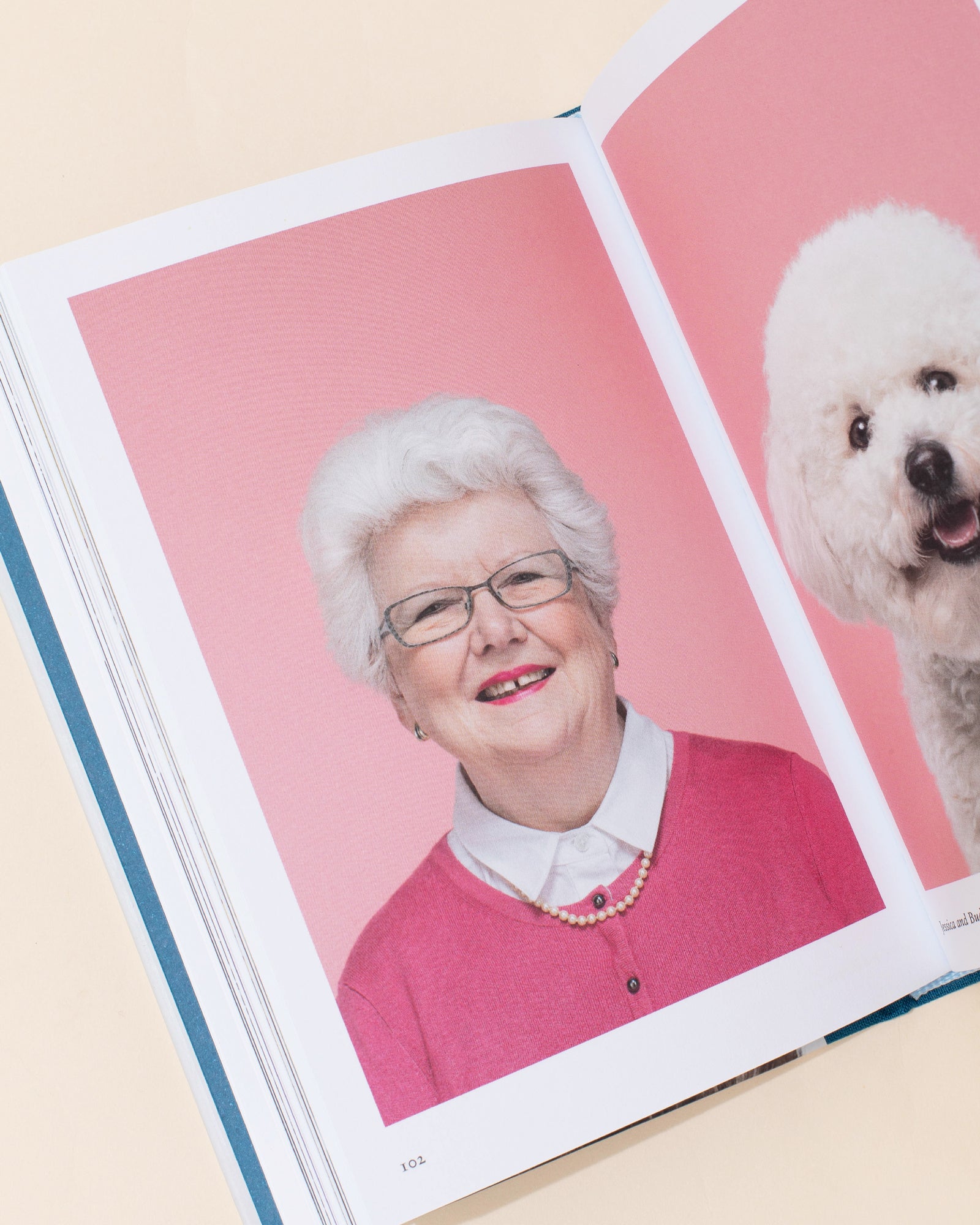 Hoxton Mini Press New Photography Of The Dog