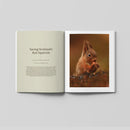 Hidden Scotland Magazine | Issue 11