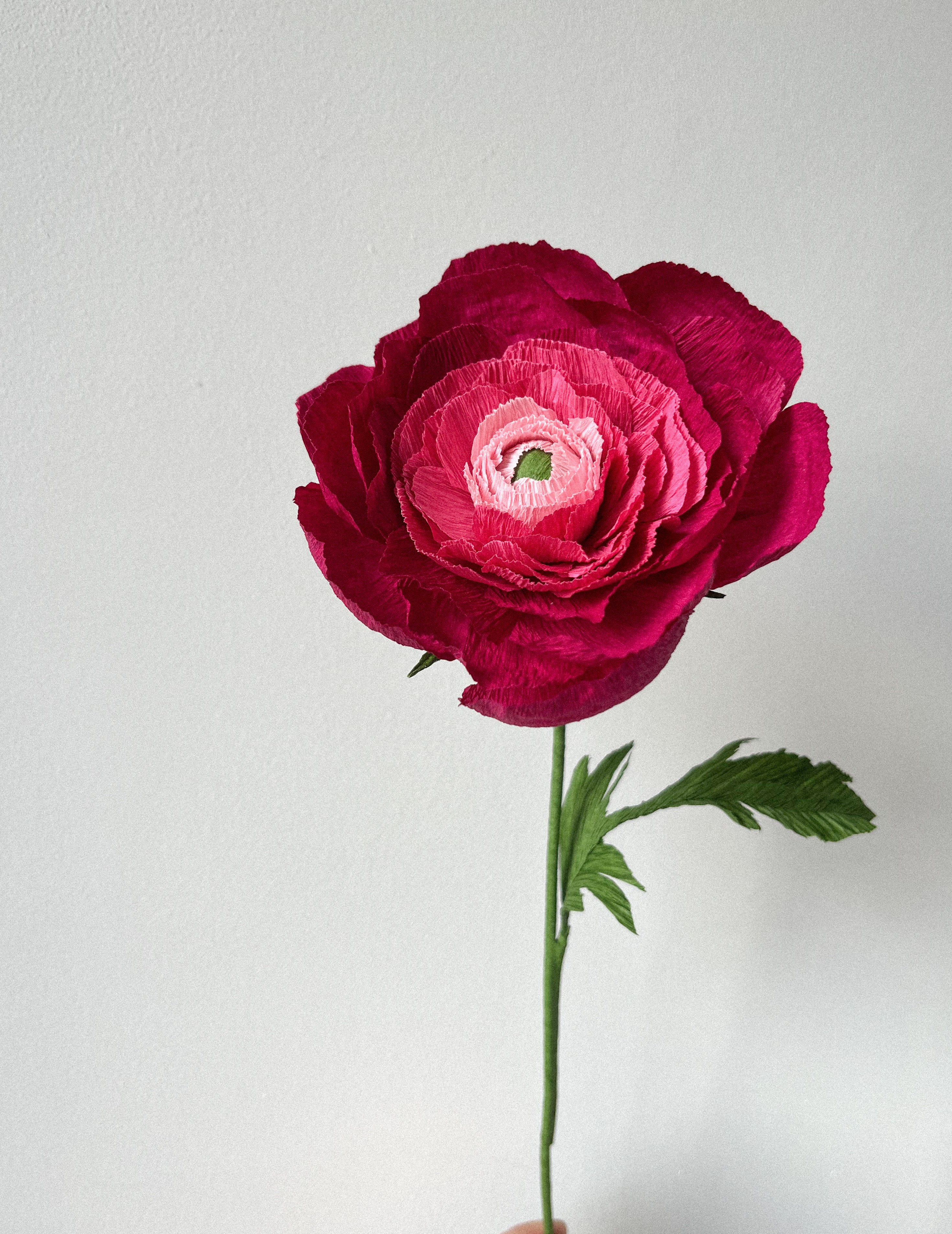 Workshop | Paper Flower Making