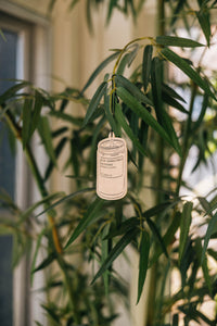 P.F Candle Air Freshener | Teakwood & Tobacco